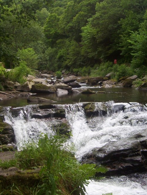 Watersmeet near Lynmouth, North Devon