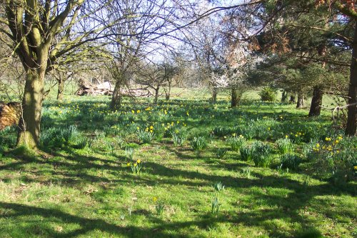 Hylands park, Chelmsford, Essex