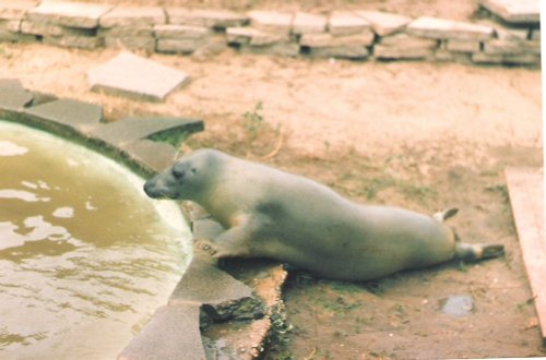 Mablethorpe Animal Gardens