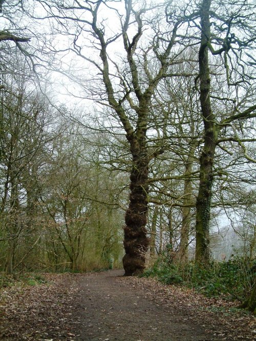 On the way back to play area and car park. Marbury Country Park