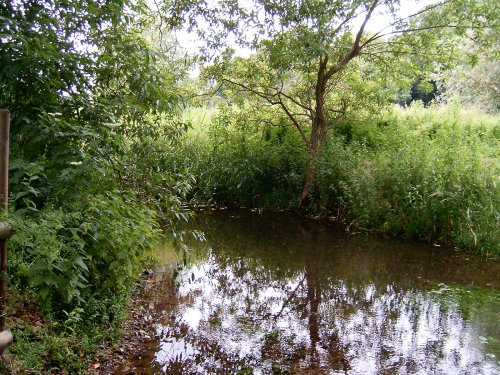 Another picture of the Spring at Icini Village, Cockley Cley, Norfolk