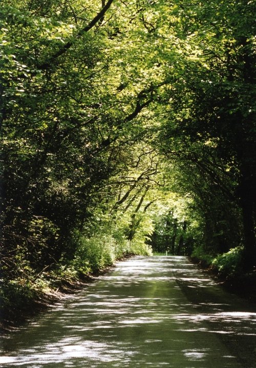 The Way to Buxted - The Road From Jarvis Brook