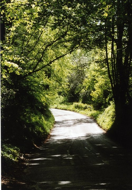 The Road to Buxted from Jarvis Brook