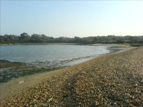 Studland Beach, Dorset