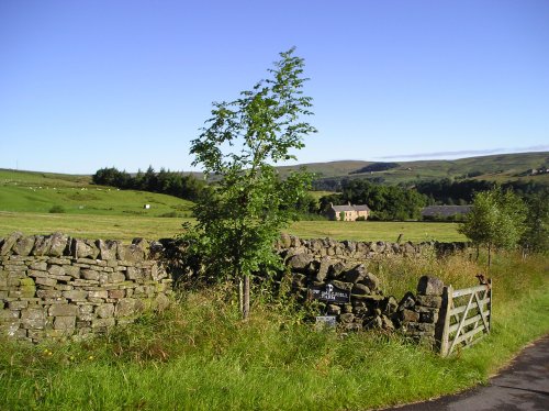 Alston Moor, Alston, Cumbria