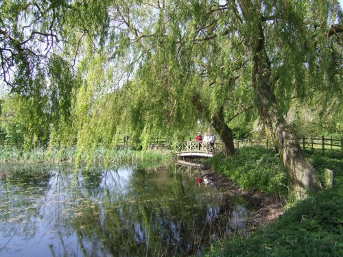 The village pond, Irby, Lincolnshire
