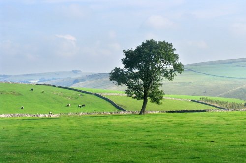 Fields near Wolfescotedale, Derbyshire