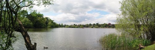 Petersfield Heath, Petersfield, Hampshire