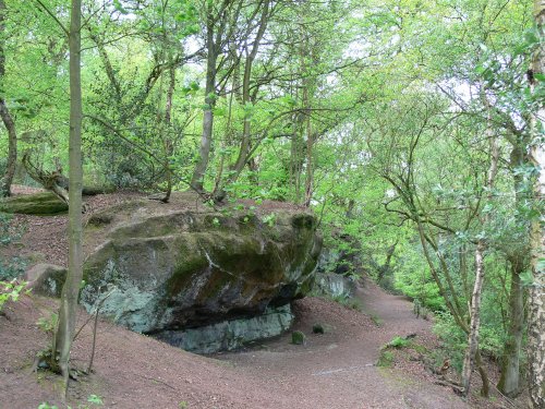 Alderley Edge