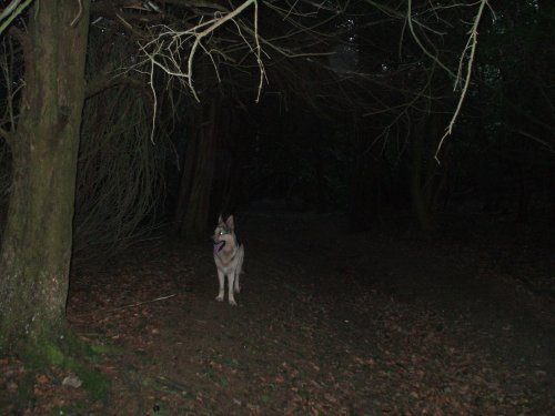 West Runton, Norfolk