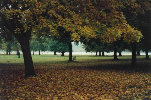 Hyde Park, London