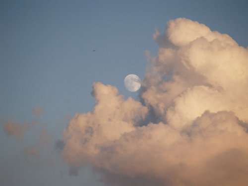 Evening sky with moon, the Bernwood, Botolph Claydon, Bucks