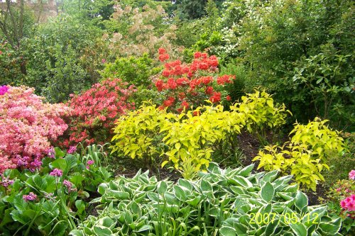 Hampton Court Palace & Gardens