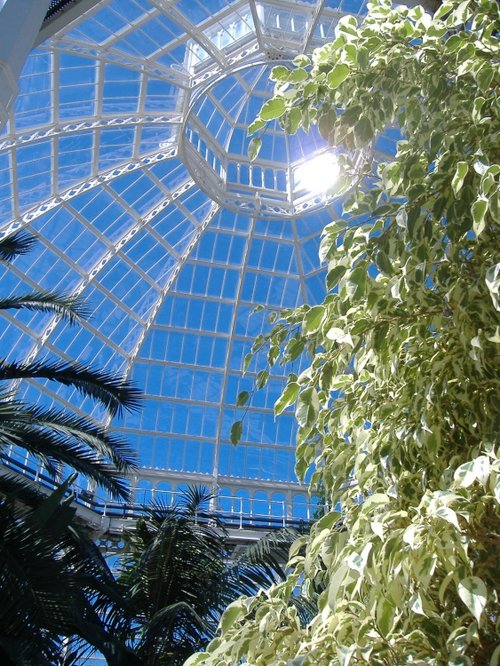 Sefton Park Palm House