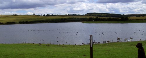 Thrybergh Country Park