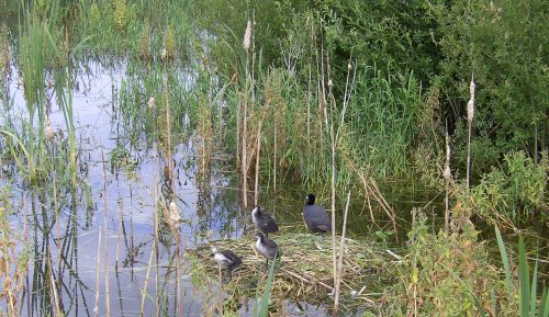 Thrybergh Country Park