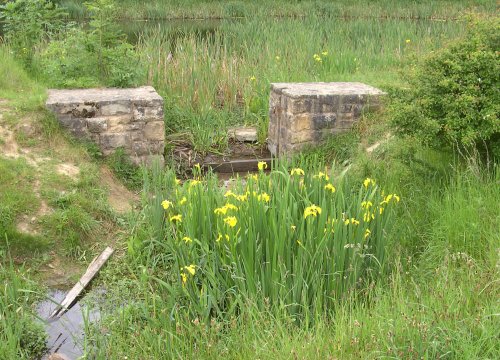 Poulter Country Park