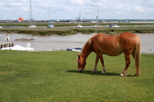 Ashlett Creek, Hampshire
