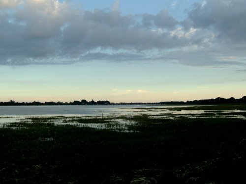 Fishbourne