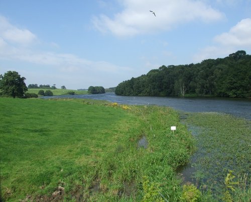 Staunton Harold Reservoir, Leicestershire