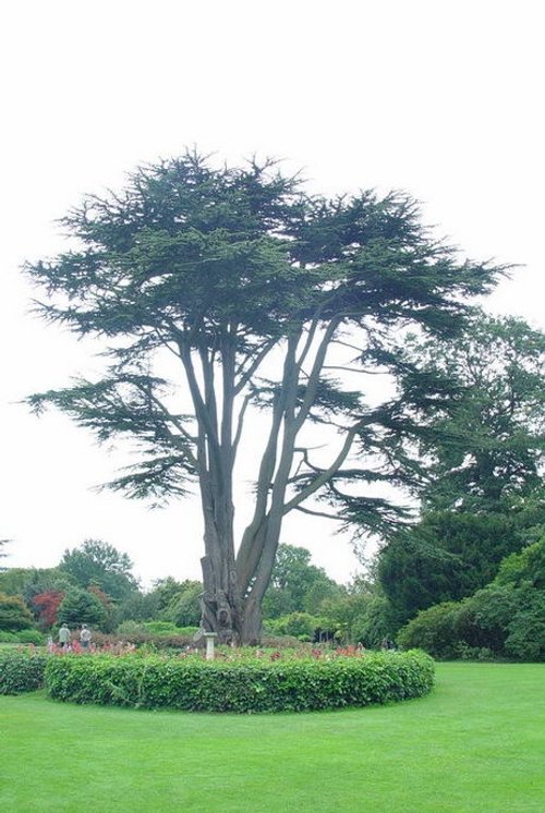 Escape for a day out at Nymans Garden