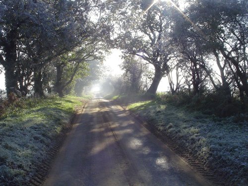Cockley Cley Road, Norfolk