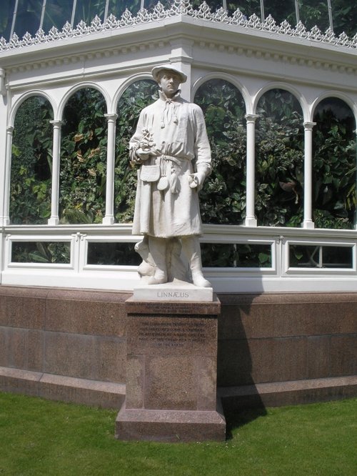 Statue of Linnaeus