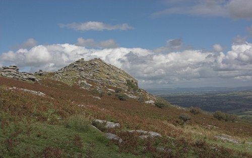 Sharp tor