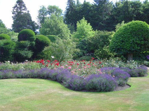 Crathes Castle Grounds