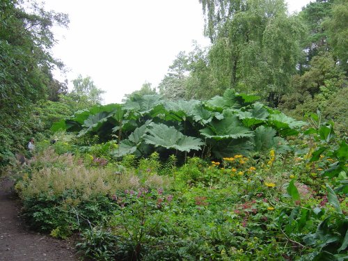Inverewe Gardens