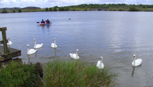 Pools Brook Country Park