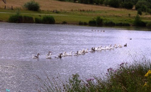 Pools Brook Country Park