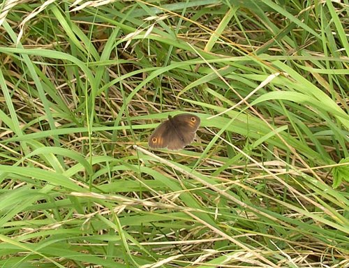 Pools Brook Country Park