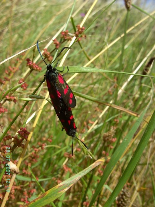 Pools Brook Country Park