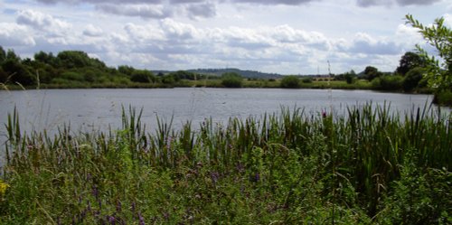 Carr Vale Nature Reserve