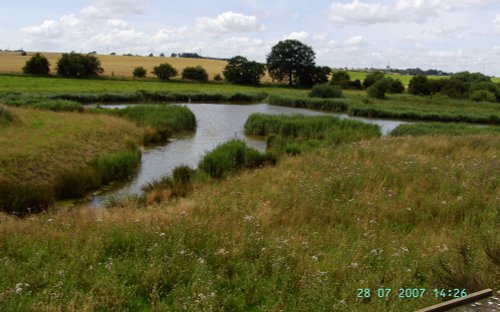 Carr Vale Nature Reserve