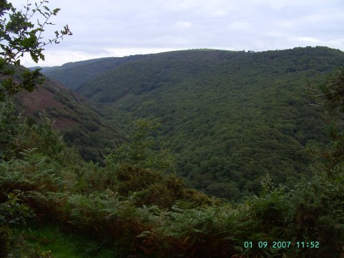 Woodlands - Castle Drogo