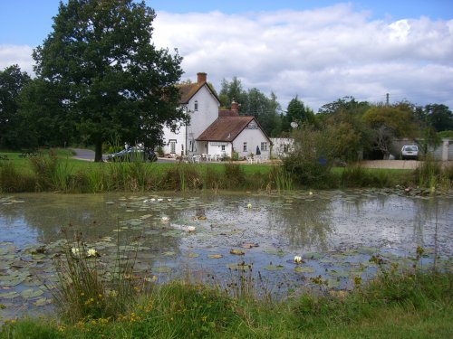Semley Village Pond, Wiltshire