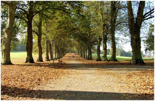 Rothamsted Park, Hertfordshire