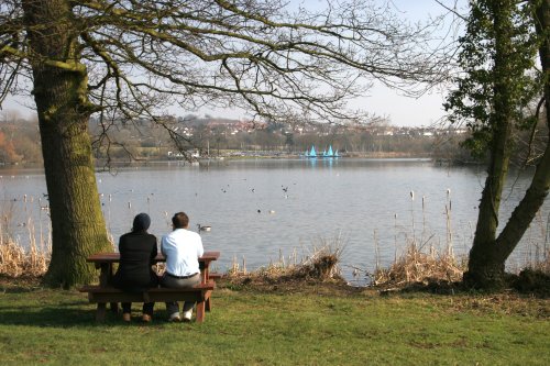 View over Aldenham Reservoir Country Park, Bushey, Hertfordshire