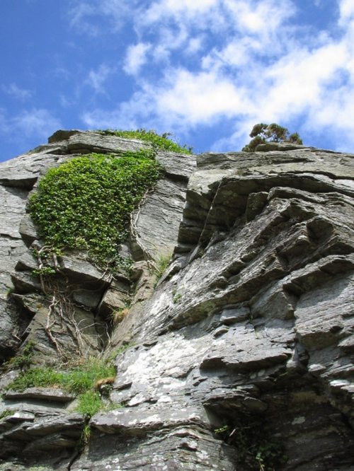 The Valley of the Rocks, Lynton, Devon.
