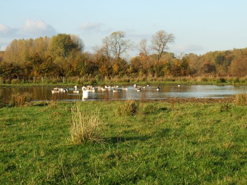 Wanlip Meadows, Leicestershire