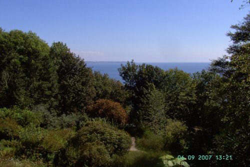 The Monkey Sanctuary