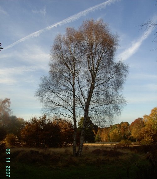 Clumber Country Park