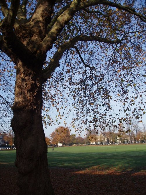 Richmond upon Thames