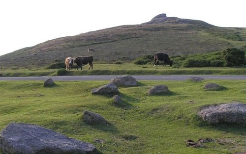 Dartmoor National Park