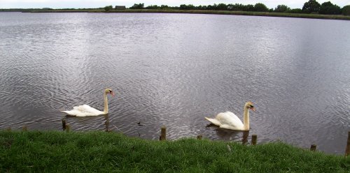 Hickling Broad