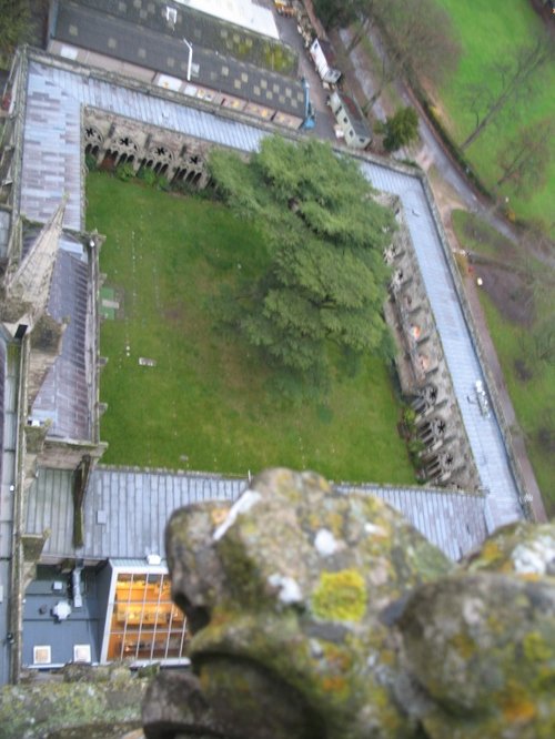 The cloister of Salisbury Cathedral