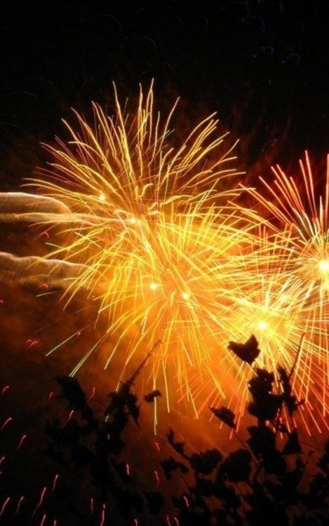 Godalming Town Bonfire 2007