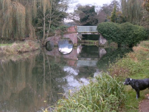 River Wey, Godalming